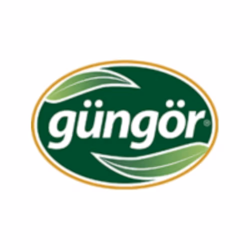 gungor logo